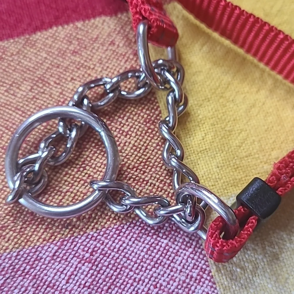 Max & Neo dog chain martindale dog collar size xsmall